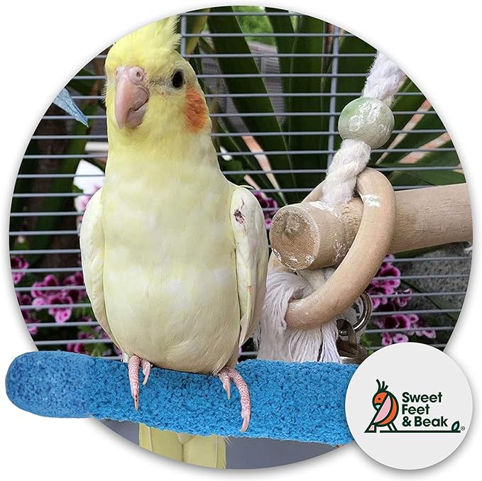 Comfort Grip Safety Perch for Bird Cages - Pedicure Perch for Birds to Keep Nails and Beaks in Top Condition - Safe Easy to Install Bird Cage Accessories - Small 6.5"-PawvioPets