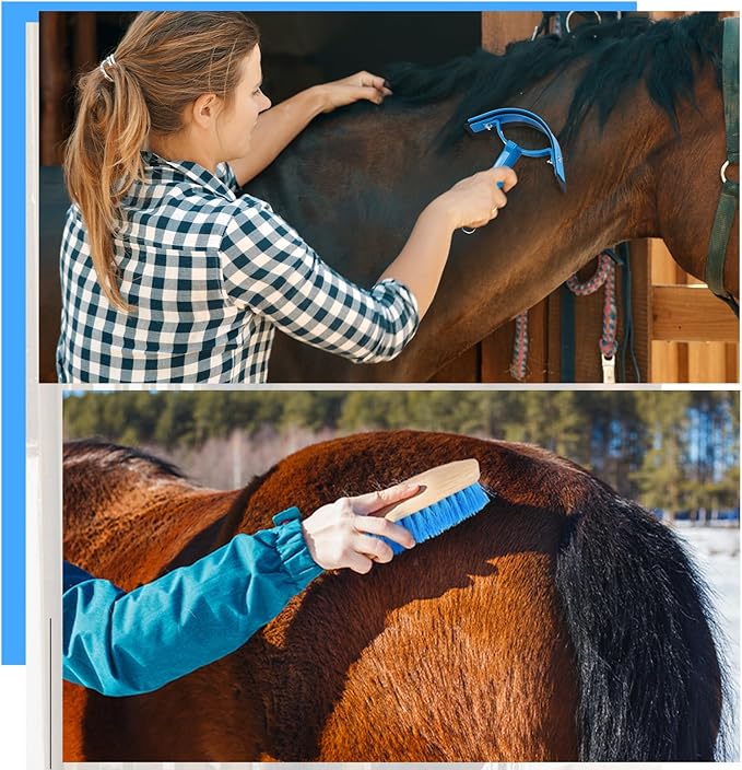 Abbylike 12 Pieces Horse Grooming Kit Racing Festival Tack Room Supplies Horse Brush Sets Equine Care Cleaning Kit Shedding Grooming Massaging Tools(Blue)-PawvioPets