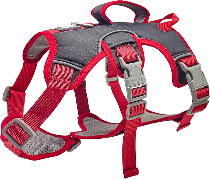 Escape Proof Dog Harness, No Pull Reflective Adjustable Vest with Easy Control Lift Handle, No Choke Soft Padded Breathable Full Body Pet Harness for Walking Hiking and Training (Red, Small)-PawvioPets