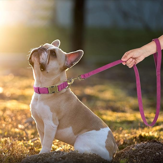Didog Soft PU Leather Dog Collar, Stylish Quick Released Dog Collars for Medium Dogs, Easy Clean Adjustable Pet Collar for Daily Walking, Purple, M Fit 13-21" Neck-PawvioPets