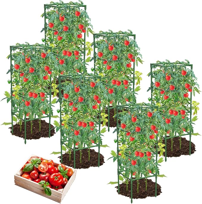 6 Pack Tomato Cages, 41.7" H Square Tomato Plant Stakes Support Cages Trellis for Garden Climbing Vegetables Flowers Fruits,Extra Bold-PawvioPets