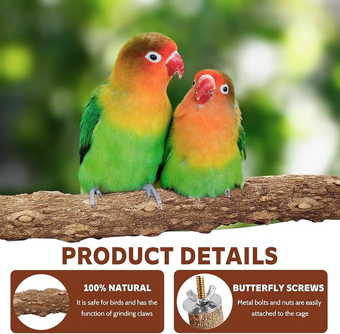 7-Piece Bird Perch Set: 3 Grapevine Paw Grinding Forks, 2 Wood Stands & 2 Hammocks - Cage Accessories for Parakeets, Cockatiels, Conures, Budgies-PawvioPets