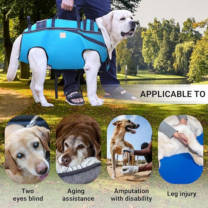Dog Lift Harness Backpack Carrier for Large Dogs, Full Body Sling with Handle, Dog Harness for Joint Injuries, Arthritis, Ideal for Stairs, Elderly Dogs (Blue XX-Large 50-66 LBS)-PawvioPets