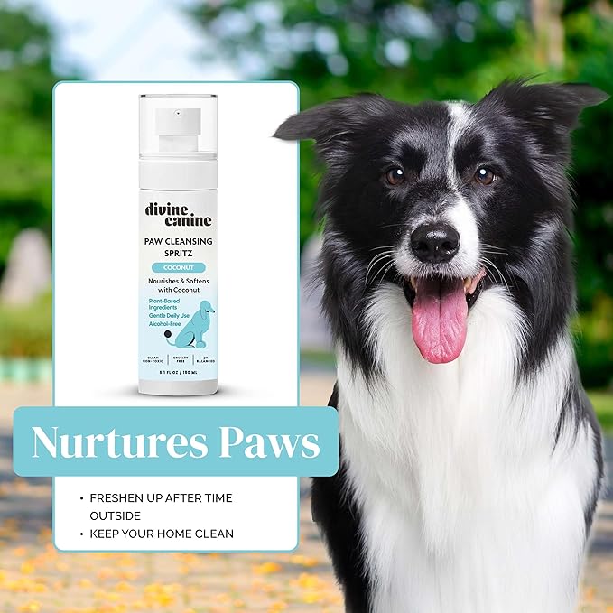 Dog Paw Cleaner - 5.1 Fl Oz of Alcohol Free Paw Cleansing Spray - Made with Coconut, Aloe, Copaiba Oil, and Lemongrass Oil to Nourish and Clean Paws - Made in The USA-PawvioPets