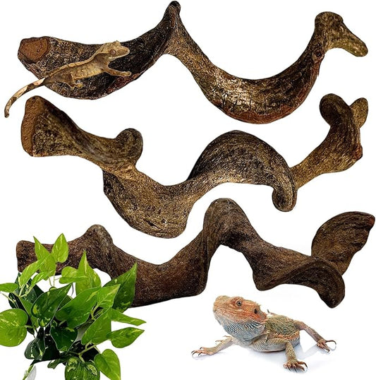 BNOSDM 3Pcs Reptile Climbing Branches Decor,Snake Climbing Branch,Gecko Climb Wood,Lizard Forest Branch,Tank Habitat Tree Trunk Decorations for Bearded Dragons,Chameleons,Spider,Frogs (M)-PawvioPets