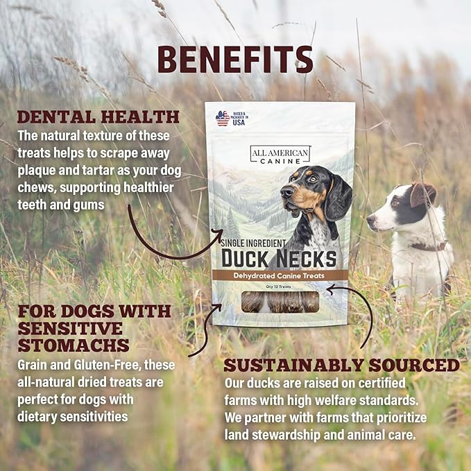 12 Natural Duck Neck Dog Treats – Single Ingredient, Dehydrated & Chewy – Low-Fat, High-Protein Training Reward – Made in USA-PawvioPets
