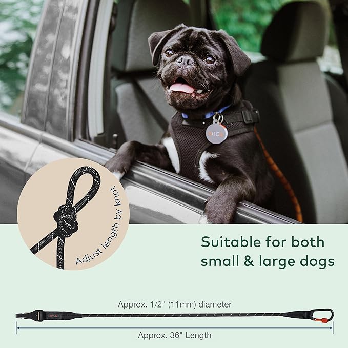 Dog Seat Belt for Car | Universal Dog Car Seatbelt | Durable Reflective Rope with Clip Hook Latch, Buckle and Alloy Carabiner- Safe and Secure Pet Safety Restraint-PawvioPets