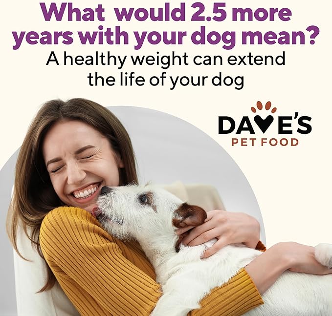 Dave's Pet Food Weight Management Dog Food (Turkey & Vegetables), Made in USA, Weight Loss, Soft, Canned Wet, 13.2oz (12 Pack)-PawvioPets