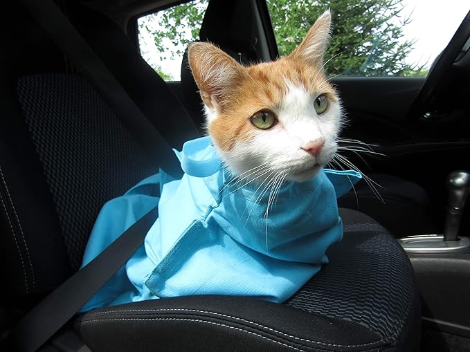 Cozy Comfort Carrier - Large Green Cat Carrier, Cat Holder for Cutting Nails, & Cat Carrier Pouch for Vet Visits, Medication Administration, Dental Care, & Travel-PawvioPets