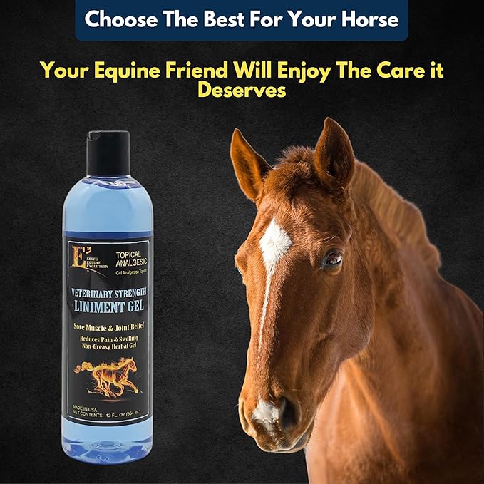 E3 Veterinary Strength Liniment Gel for Sore Muscle & Joint Relief - Reduces Pain & Swelling - Horse Liniment for Humans & Pets - Arthritis Aid - Non-Greasy Herbal Formula- Topical Analgesic-PawvioPets