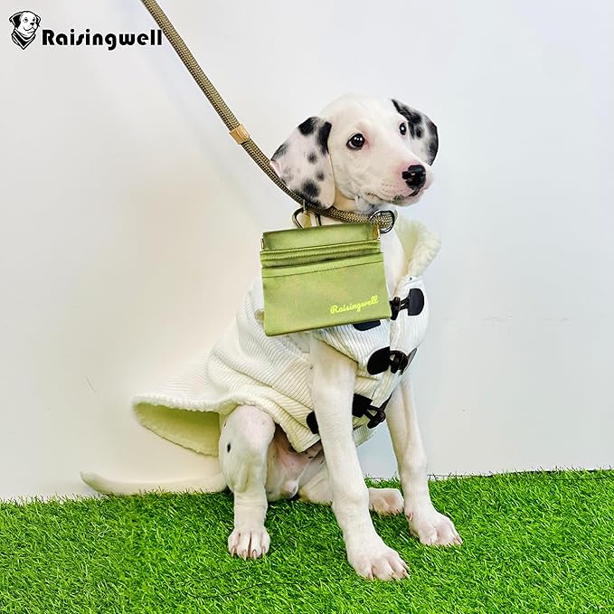 Dog Treat Pouch, Pocket Sized Pet Training Pouch, Hand Free Bronze Dog Walking Bag with Carabiner, Self-Closing Pet Feed Snack Reward, for Puppy Travel or Outdoor Use, NanoPTC-PawvioPets