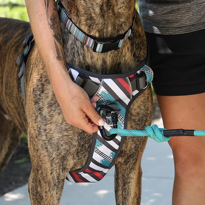 Embark Adventure Dog Harness, Reflective Trim No Pull Dog Harness for Large Dogs - Military Grade Nylon, Front Clip with Gel Lined Handle.-PawvioPets