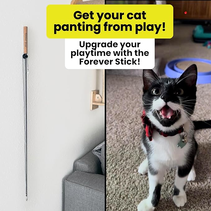 Forever Stick - The Unbreakable Cat Toy Wand, Extra Long Durable Interactive Cat Toy for Indoor Cats, Feather Kitten Toys for Bored Indoor Adult Cats, Bird Teaser Cat Accessories Enrichment-PawvioPets