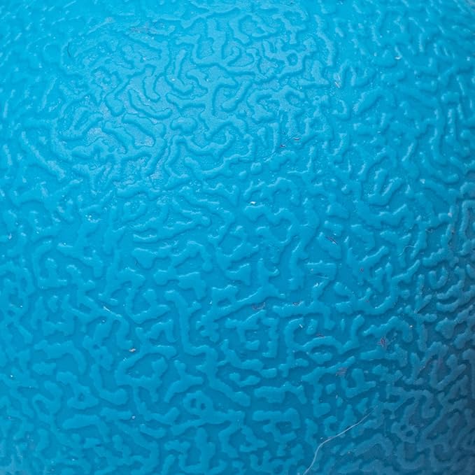 Amazon Basics Dog Toys, Interactive Fetch Rubber Balls, (Pack of 2), 3 inch, Blue, Orange-PawvioPets