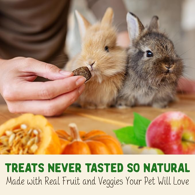 DOC EDDIE'S Digestive Bites - Plant-Based Small Animal Treats for Rabbits, Guinea Pigs, Hamsters, Gerbils, and More - Probiotics Supplement Made with Timothy Hay, Real Fruits, and Veggies-PawvioPets