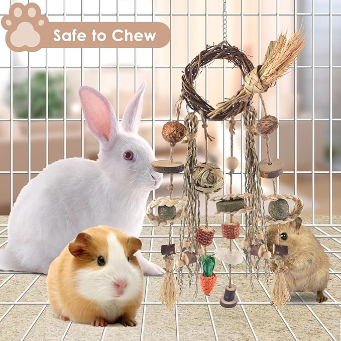 Bissap Bunny Chew Toy, Rabbits Cage Hanging Chew Toys and Treats Rattan Ring with Snacks Water Grass Wooden Block Carrot for Guinea Pigs Chinchillas Hamsters Rats and Other Small Pets Teeth Grinding-PawvioPets