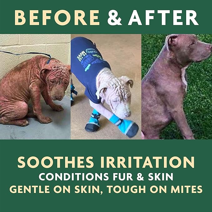 EcoMange Mange Relief for Dogs & Cats – 8 Oz. Cat & Dog Itch Relief, Sarcoptic & Demodectic Mite Spray – Herbal Extract & Essential Oil Itch Relief for Dogs – Natural Cat & Dog Sprays by Vet Organics-PawvioPets