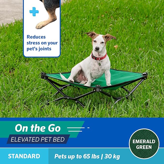 Coolaroo On-The-Go Elevated Dog Bed - Foldable Pop-Up Travel Dog Bed with Breathable, Moisture-Resistant Fabric, Carry Bag Included, Lightweight & Portable, Emerald Green, Standard-PawvioPets