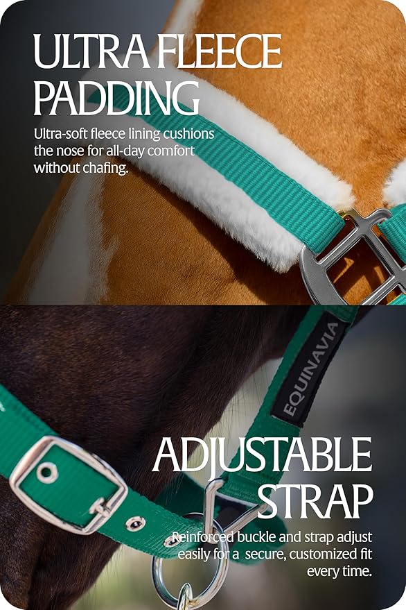Equinavia Valkyrie Soft Ultra Fleece Padded Adjustable Breakaway Horse Halter - Turquoise/White - Warmblood-PawvioPets
