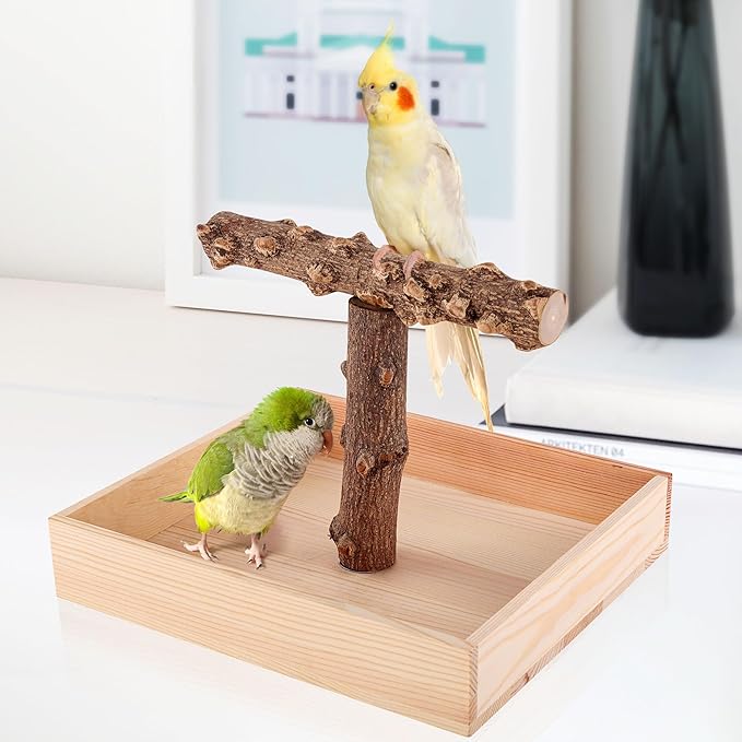 Bird Perch, Portable Tabletop Bird Stand, Training Play T Shaped Stand for Parrot Parakeet Cockatiels Conures Budgies Finch Lovebirds-PawvioPets