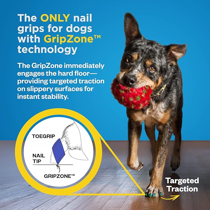 Dr Buzby's Large ToeGrips for Dogs - Instant Traction on Wood/Hardwood Floors - Anti Slip Relief - Grippers for Senior Dogs - Stop Sliding Instantly - Rubber Nails for Paws - 1 Pack (20 Grips)-PawvioPets