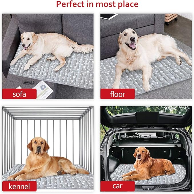 Dog Crate Mat (42" X 28"), Soft Dog Bed Mat with Cute Prints, Personalized Crate Pad, Anti-Slip Bottom, Machine Washable Kennel Pad-PawvioPets
