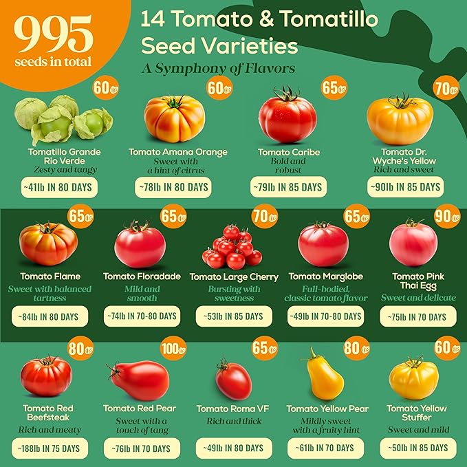 14 Tomatillo & Tomato Seeds for Planting Variety Pack - 990+ Non-GMO Heirloom Vegetable Seeds for Growing Tomato Indoor & Outdoor: Cape Gooseberry, Cherry, Flame, Roma, Beefsteak Tomatoes-PawvioPets