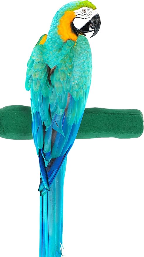 Comfort Grip Safety Perch for Bird Cages - Pedicure Perch for Birds to Keep Nails and Beaks in Top Condition - Safe Easy to Install Bird Cage Accessories - XL 13.5"-PawvioPets