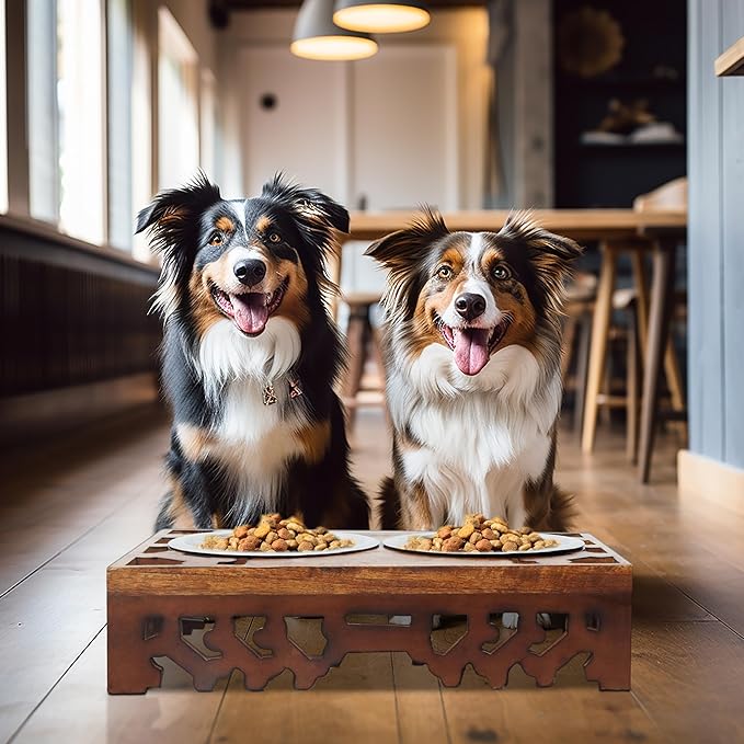 Elevated Pet Feeder for Dogs and Cats - Hand Carved Wood Bones Raised Dog Bowl Stand - Pet Feeding Stand with Two Steel Bowls - Raised Dog Bowl for Food Water - Pet Feeding Station -17x11x4- IRONGATE-PawvioPets