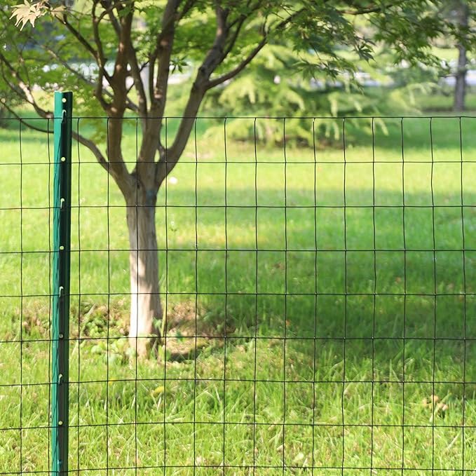 Black PVC Coated Welded Wire Fence 36 Inch x 25 Foot, 2 Inch x 3 Inch 16GA, Garden Border Fencing Roll Vinyl Coating Metal Wire Mesh for Yard Vegetable Plant Protection Poultry Netting-PawvioPets
