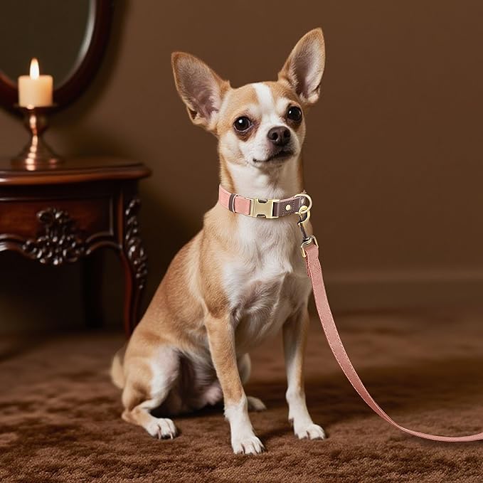 Didog Soft PU Leather Dog Collars for Small Dogs,Classic Adjustable Dog Collars with Quick Release Metal Buckle,Easy Clean and Comfortable with Nylon Lining,Pink,S Neck 10-15"-PawvioPets