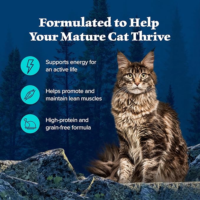 Blue Buffalo Wilderness Wild Delights Minced Wet Cat Food, High-Protein & Grain-Free, Made with Natural Ingredients, Chicken & Trout Recipe in Tasty Gravy, 5.5-oz. Cans (24 Count)-PawvioPets