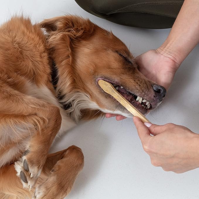 Dog Toothbrush I 4-Pack Two Sided Bamboo Toothbrush for Small and Large Dogs & Cats I Soft Bristles Gentle for Easy Dog Teeth Brushing & Dental Care-PawvioPets