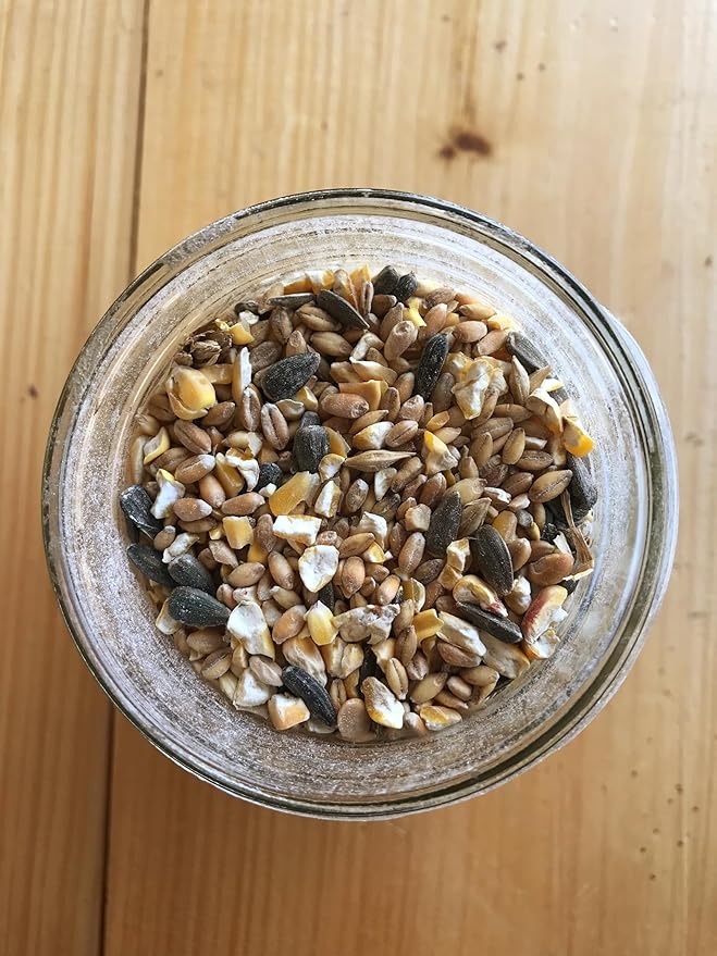 Ernst Grain & Livestock Bird and Wildlife Feed – Perfect for Birds, Ducks, Squirrels, Turkeys, Rabbits, Geese, and Deer – Non-GMO Wild Animal & Bird Feed for Outside Feeders - 10lbs-PawvioPets