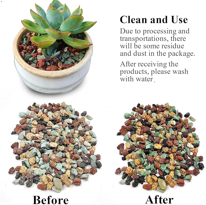5 lbs Succulent Cactus Soil Potting Mix,1/4 inch Pumice Pebbles Mix Horticultural Lava Rock for Indoor Plants, Bonsai, Orchid-PawvioPets