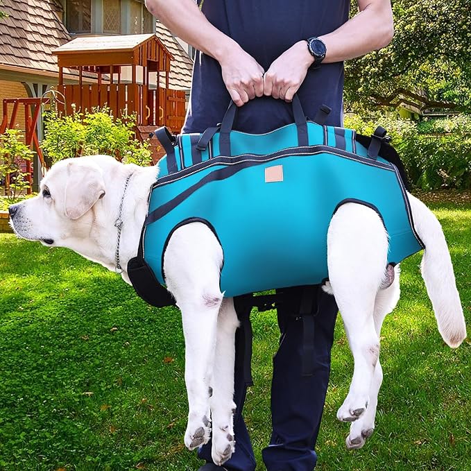 Dog Lift Harness Backpack Carrier for Large Dogs, Full Body Sling with Handle, Dog Harness for Joint Injuries, Arthritis, Ideal for Stairs, Elderly Dogs (Blue XXX-Large 66-83 LBS)-PawvioPets