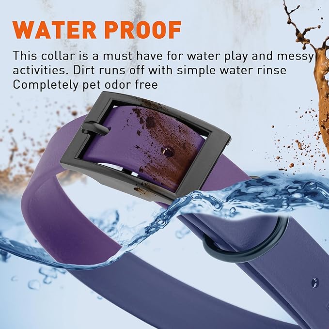 Dogline Biothane Waterproof Dog Collar Strong Coated Nylon Webbing with Black Hardware Odor- Proof for Easy Care Easy to Clean High Performance Fits Small Medium or Large Dogs, Violet Purple-PawvioPets