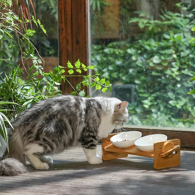 FUKUMARU Elevated Cat Ceramic Bowls, Small Dog 15° Tilted Raised Food Feeding Dishes, Solid Bamboo Water Stand Feeder Set for Cats and Puppy-PawvioPets