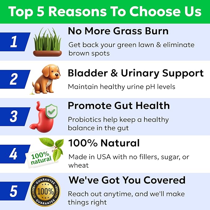 BARK&SPARK Green Grass Chews - Pee Grass Spot Saver Caused by Dog Urine - Urine Neutralizer for Lawn, Gut Health Probiotics & Digestive Enzymes,Lawn Burn from Dog Urine, Grass Burn Spot Chews (240Ct)-PawvioPets