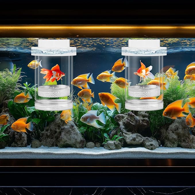 2 Pcs Breeder Box for Fish Tank Aquarium Breeder Separation Net Breeding Box with Suction Cup for Small Fish Shrimp Clownfish Guppy(White,M)-PawvioPets