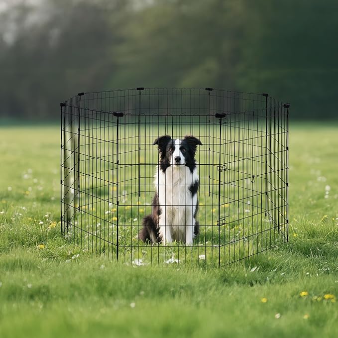 Amazon Basics Foldable Octagonal Metal Exercise Dog Playpen - Indoor/Outdoor, No Door, Large (8 Panels, 24 x 42), Easy to assemble, store, and customize, 42" - Large, Black-PawvioPets