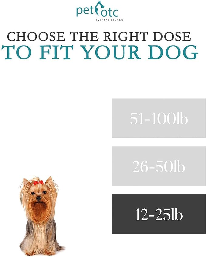 Anti-Motion Sickness and Nausea Relief for Small Breed Dogs, Relief for Disorientation and Dizziness, 10 Tablets-PawvioPets