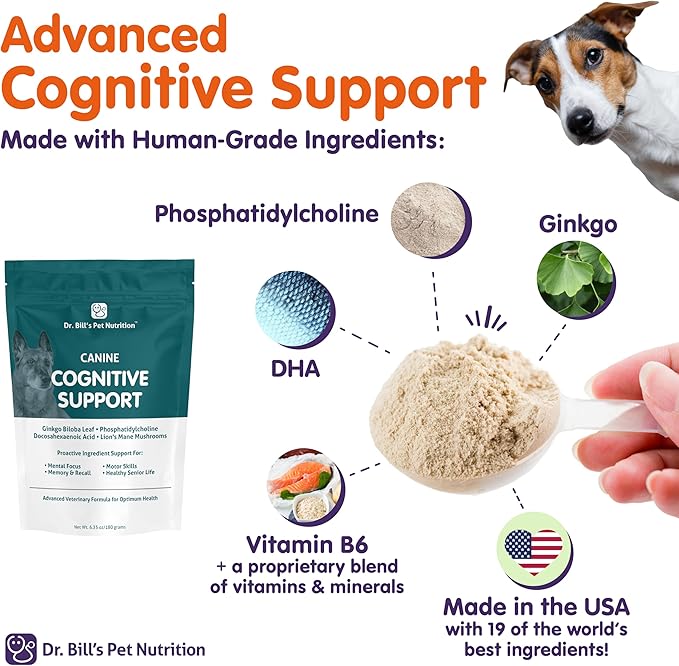 Dr. Bill’s Canine Cognitive Support | Memory Support Supplement Multivitamin for Dogs | Contains Gingko Biloba, L-Carnosine, Vitamin B-12, L-Glutamine, L-Tyrosine, and DHA for Adult and Senior Dog-PawvioPets