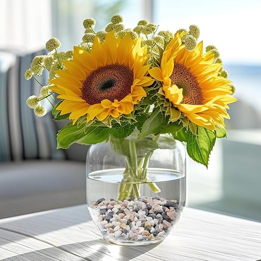 2.5 lbs Small Rocks for Succulents, 1/5 Inch Pebbles for Indoor Plants, Decorative Pea Gravel for Terrarium, Vases, Aquariums, Fish Tank, Drainage Rocks for Potted Plants, Bamboo,Crafts, Cactus-PawvioPets