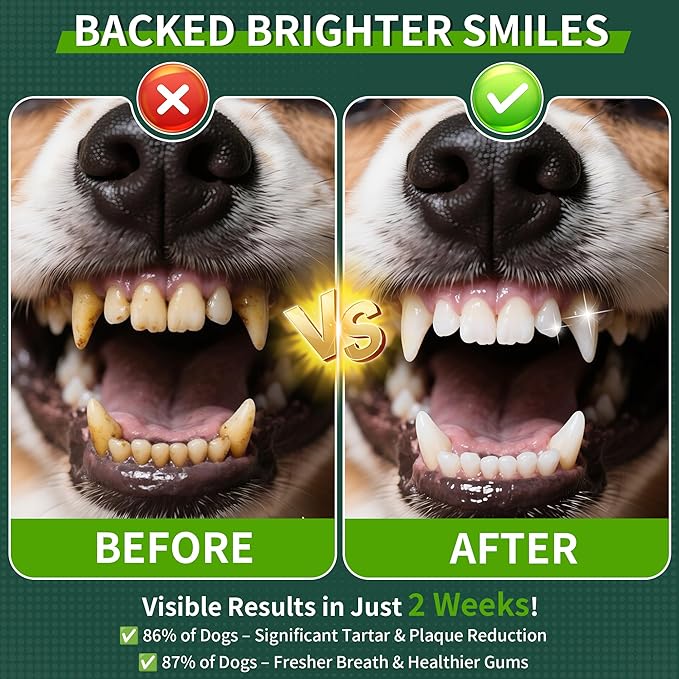 Dog Dental Powder, Dog Teeth Cleaning Powder with Natural Herbal Blend & Postbiotics, Dog Teeth Cleaning, Targets Tartar & Reduces Plaque & Bad Breath for Dogs & Cats, Mint -150Grams-PawvioPets