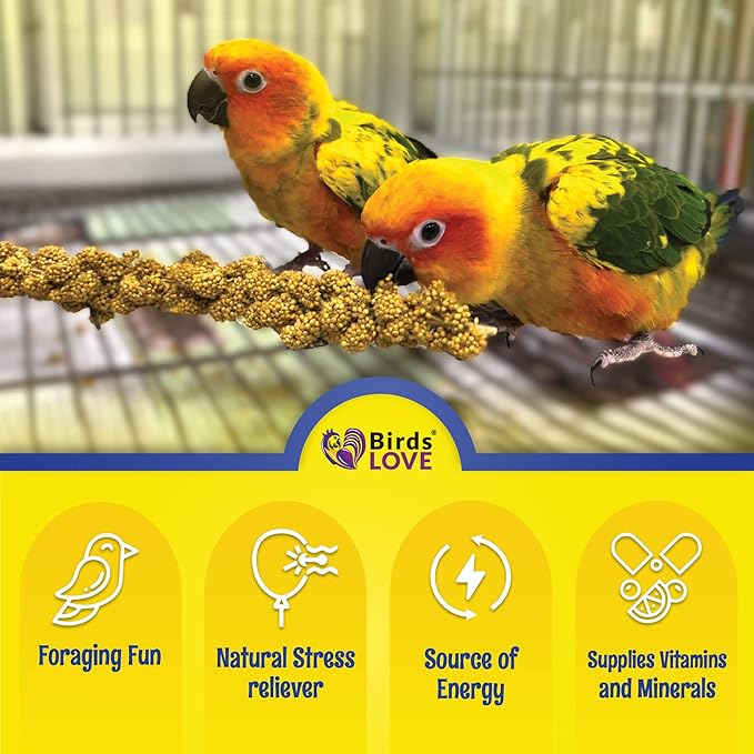 Birds LOVE Economy & Thin Special Spray Millet GMO-Free (No Stems Only Edible Tops) for Birds Cockatiel Lovebird Parakeet Finch Canary All Parrots Healthy Treat - 2lbs-PawvioPets