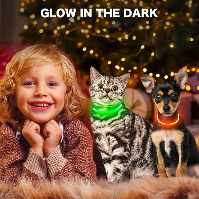 BSEEN Light Up Dog Collar - Rainproof LED Dog Collar Rechargeable - TPU Cuttable Glowing Pet Collar for Small Puppies& Cats, Safety Dog Lights for Night Walking& Camping (XS- Orange 40cm)-PawvioPets