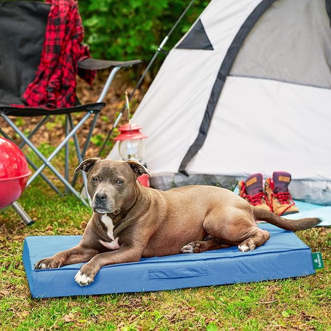 FurHaven Cooling Dog Bed – Large Foam Mattress for Joint Pain Relief, Waterproof Liner, Removable Washable Cover, Durable for Outdoor Use, Deluxe Grid Indoor/Outdoor Bed – Blue, Large-PawvioPets
