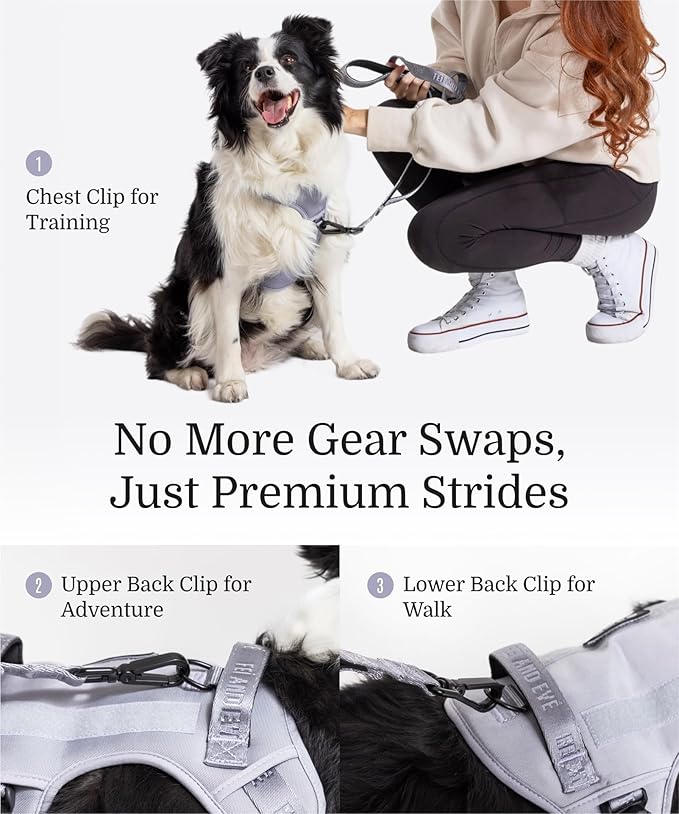 2025 New Edition, Fei & Eve MagEase Dog Harness - 3-Second Magnetic Buckles | 3-Point No-Pull Control | Heavy-Duty 900D Nylon | Dual Safety Handles | Breathable Mesh | Adjustable Fit | X-Large, Gray-PawvioPets