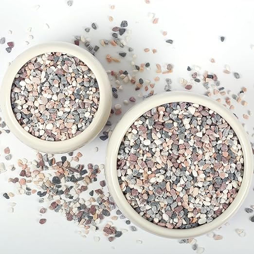 10lbs Natural Gravel Pebbles for Succulents and Cacti, 1/5 Inch Decorative River Stones – Perfect for Vases, Aquariums, Terrariums, and Outdoor Gardening, Mixed Colors (Mixed, 10 Pounds)-PawvioPets